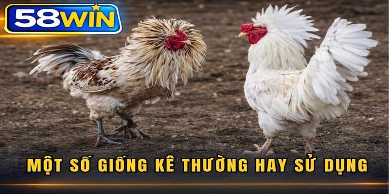 Một số giống kê thường hay sử dụng