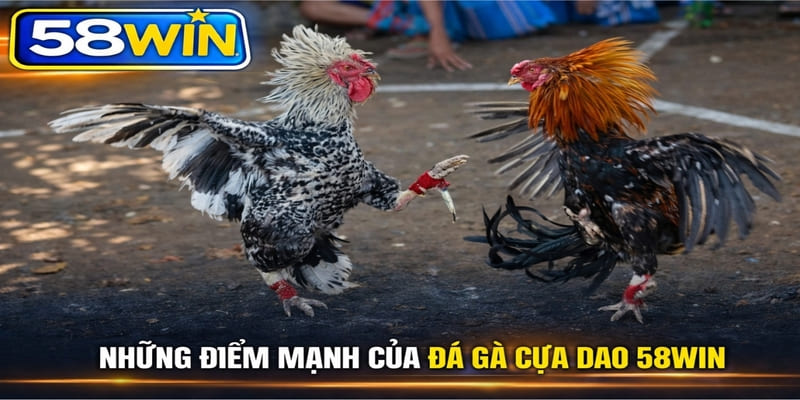 Những điểm mạnh của đá gà cựa dao 58WIN