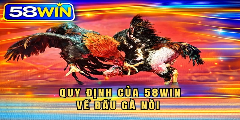 Quy định của 58WIN về đấu gà nòi như thế nào?